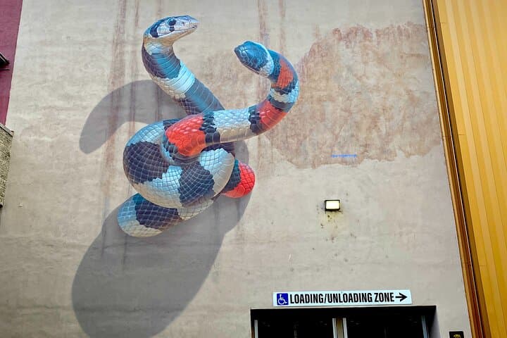downtown-sacramento-mural-and-public-art-walking-tour photo 3