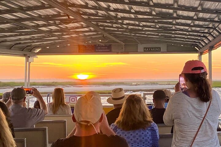Sunset Wildlife Cruise Along Assateague & Chincoteague Island