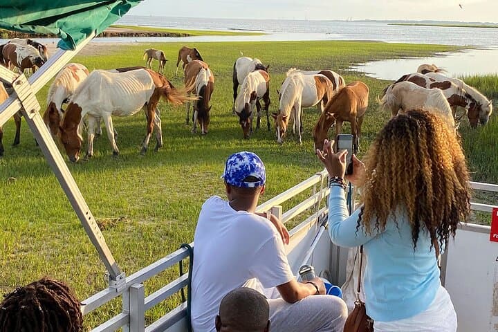 Sunset Wildlife Cruise Along Assateague & Chincoteague Island photo 2