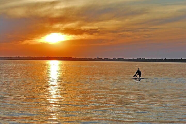Sunset Wildlife Cruise Along Assateague & Chincoteague Island photo 5