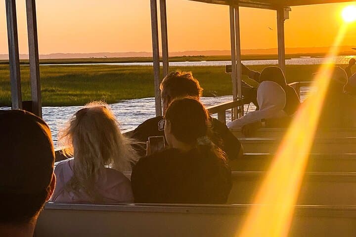 Sunset Wildlife Cruise Along Assateague & Chincoteague Island photo 6