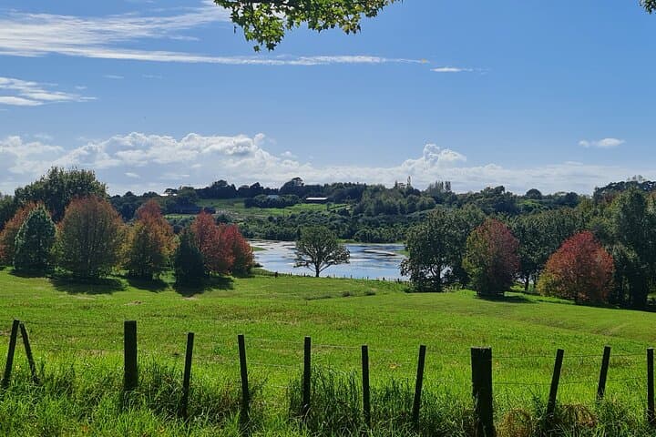 Auckland Nature Tour: Maungawhau, Cornwall Park & Ayrlies Garden Day Trip photo 4