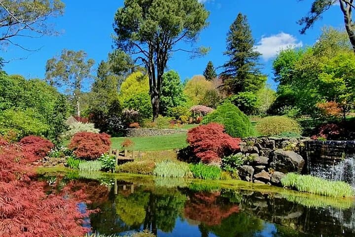 Blue Mountains Private Autumn Day Tour: Three Sisters, Windyridge & Lennox Bridge