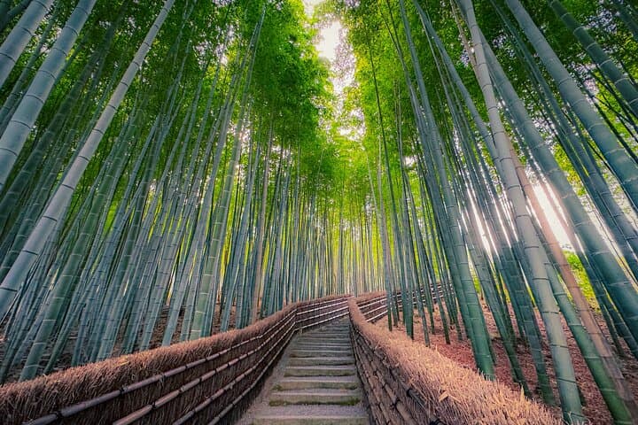 Private Kyoto Van Tour: Highlights & Hidden Nature Gems (English Guide) photo 6