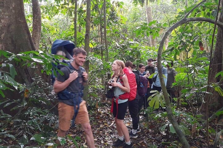 Cuc Phuong National Park Day Trek: Jungle Hike, Cave of Early Man & Primate Rescue photo 5