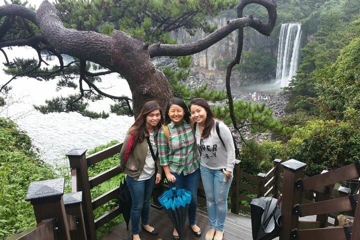 South Jeju Private Day Tour — Seogwipo Waterfalls, Coastlines & Tea Fields photo 4