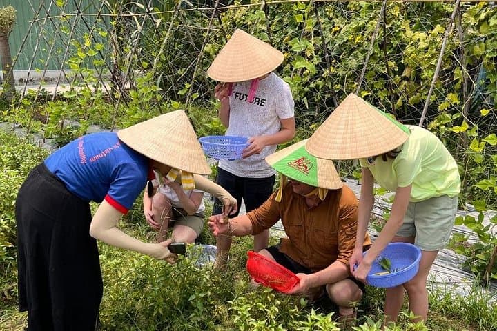 Cu Chi Tunnels & Vietnamese Cooking Class — Full-Day Private Tour from Ho Chi Minh City photo 4