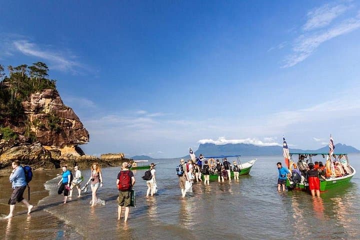 Bako National Park Day Trip from Kuching — Proboscis Monkeys, Mangroves & Coastal Trails