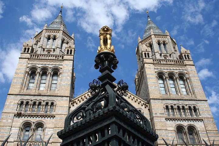 Kid-Friendly Natural History Museum Private Tour in London — Family Guide photo 2