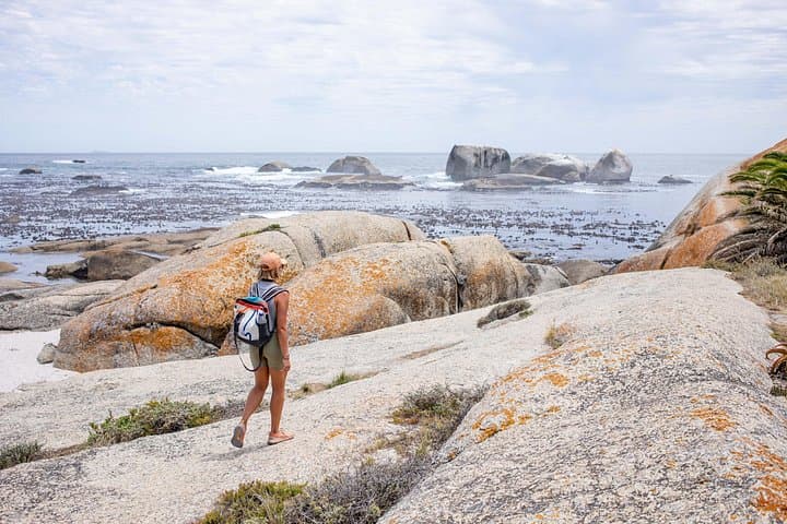 Mountain to Sea: Lion Trail Guided Walk and E-Scooter Along Sea Point Promenade, Cape Town photo 4