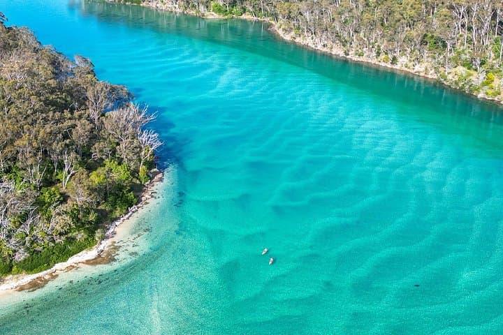 Pambula River Kayaking Tour: Birdwatching, Oyster Farms & Morning Tea photo 3