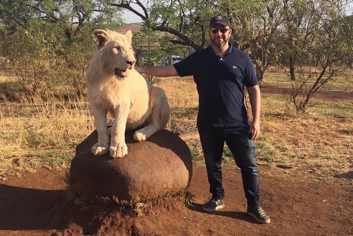 Predator Safari Near Pretoria: Lions, Cheetahs & Giraffe Encounters photo 6