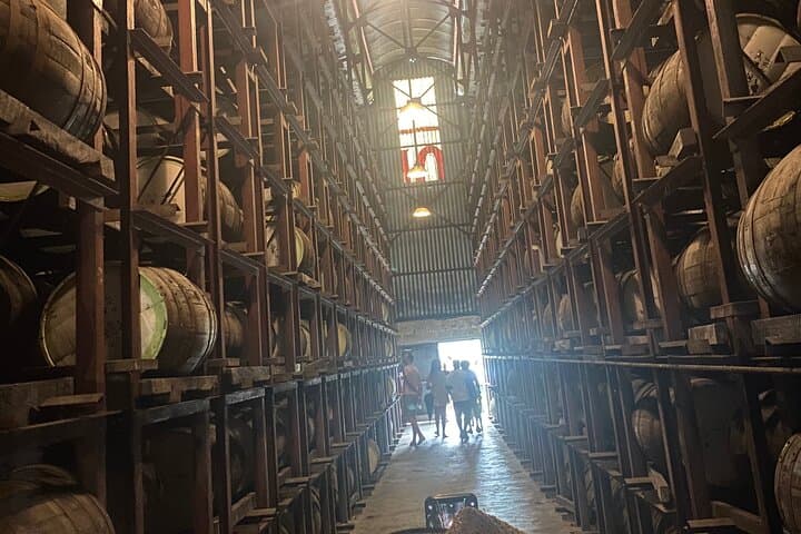 Appleton Estate Rum Tour & Limestone Massage Rafting — Private Tour from Montego Bay