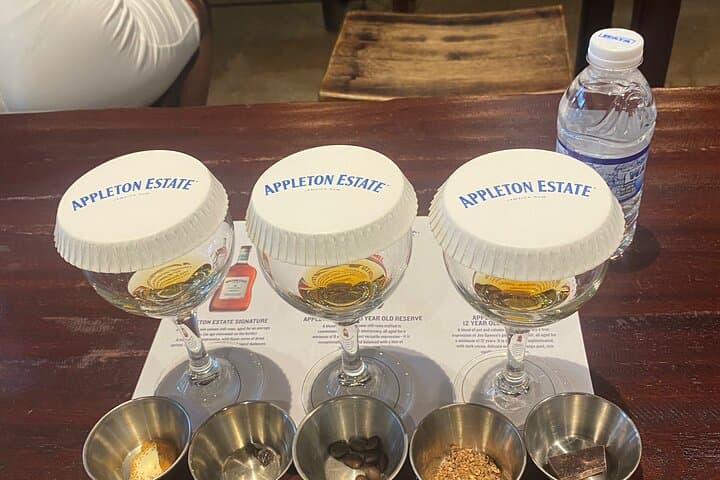 Appleton Estate Rum Tour & Limestone Massage Rafting — Private Tour from Montego Bay photo 2