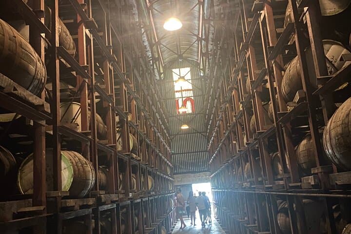 Appleton Estate Rum Tour & Limestone Massage Rafting — Private Tour from Montego Bay photo 3
