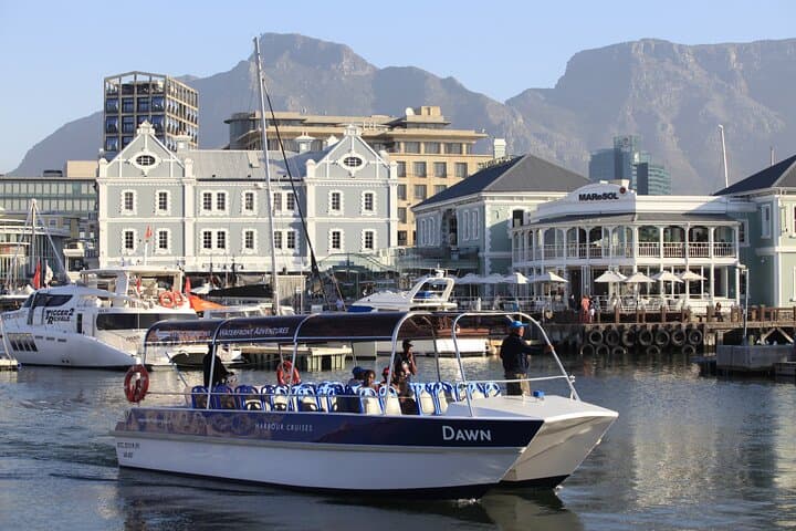 30-Minute Harbour Cruise in Cape Town — Table Mountain Views & Seal Sightings photo 2