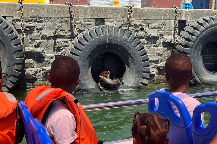 30-Minute Harbour Cruise in Cape Town — Table Mountain Views & Seal Sightings photo 4
