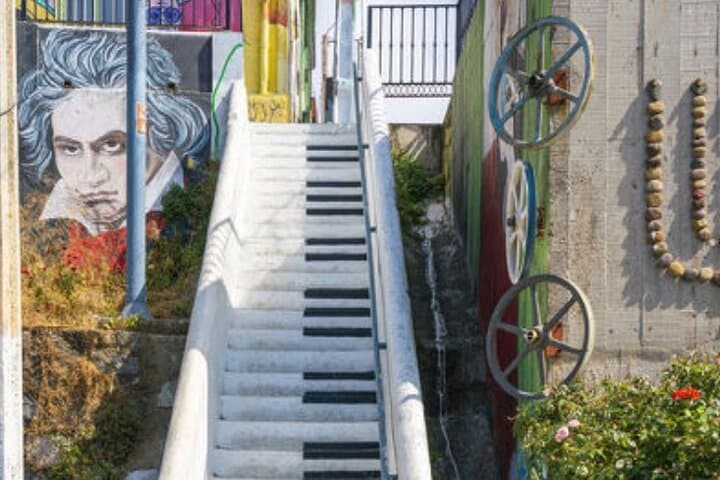 Valparaíso & Viña del Mar Day Tour: Vineyard Tasting, Sea Lions and Coastal Boat Ride photo 5
