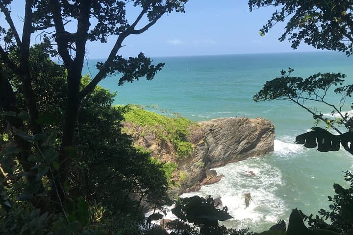 Private Hike to Paria Waterfall — North Coast Hike from Blanchisseuse