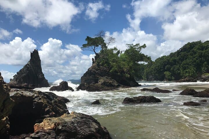 Private Hike to Paria Waterfall — North Coast Hike from Blanchisseuse photo 6