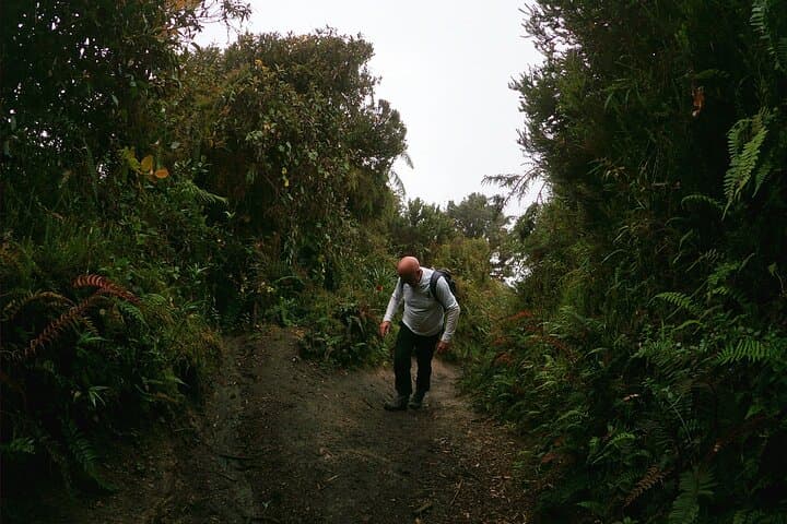 Trek to Martínez Refuge on Tungurahua: Full-Day Hike from Baños photo 3
