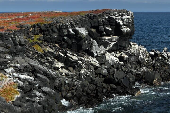 Walk with Land Iguanas & Snorkel Punta Carrion — South Plazas Day Tour, Galápagos photo 2