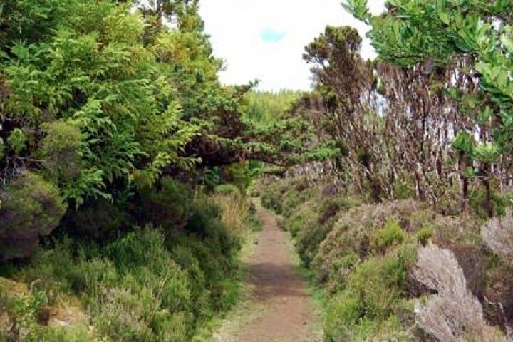 Mistérios Negros: 3-Hour Hike Into Terceira’s Interior