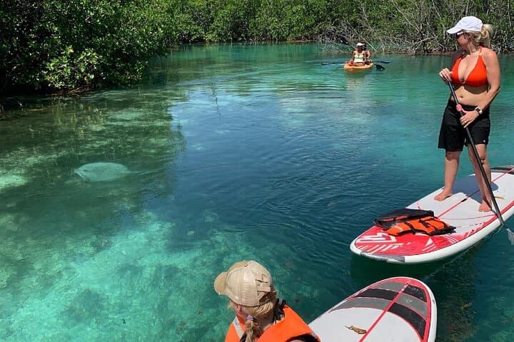Paddleboard and Kayak Tour in Cancun's Nichupté Lagoon photo 3