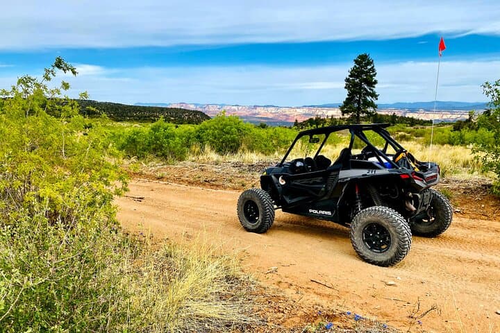 Explore East Zion by RzR: 8-Hour Polaris UTV Rentals from Mt. Carmel Junction photo 2