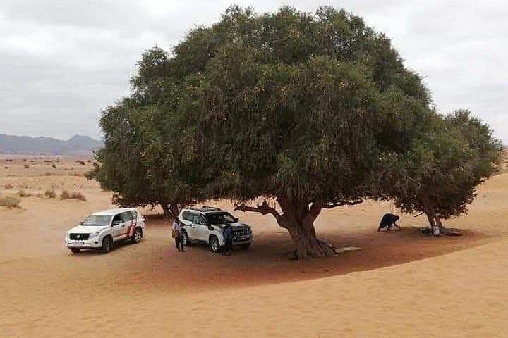 Mini Sahara & Massa Day Trip from Agadir — 4x4 Wild Beaches, Birdlife and Traditional Lunch photo 2