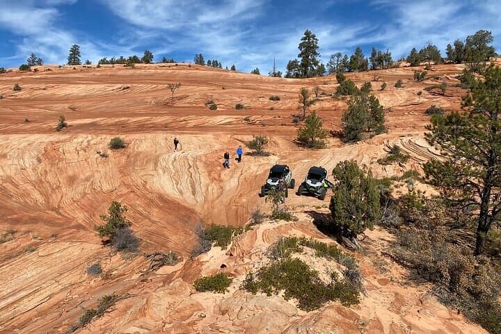 Explore East Zion by RzR: 8-Hour Polaris UTV Rentals from Mt. Carmel Junction photo 6
