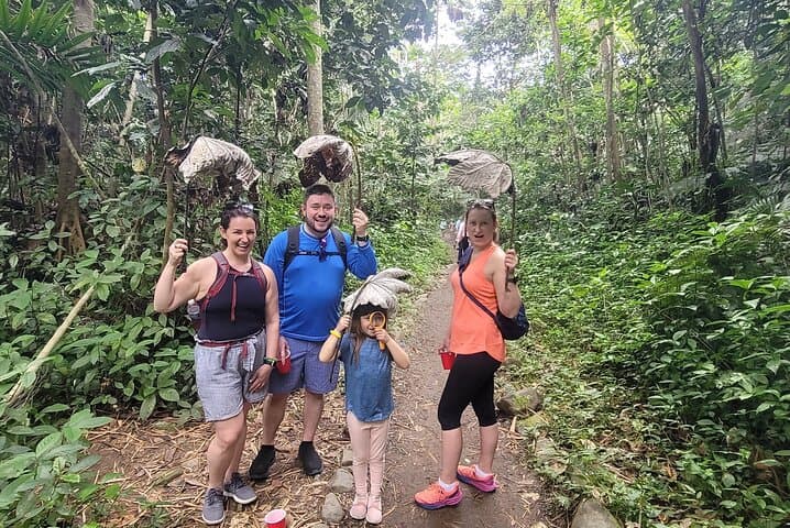 Private MEGA El Yunque Full-Day Tour — Rainforest, Rivers & Luquillo Beaches