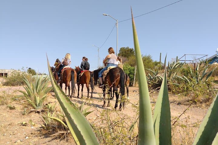 Ride the Mining Trails of Guanajuato: Mexican Equestrian Experience
