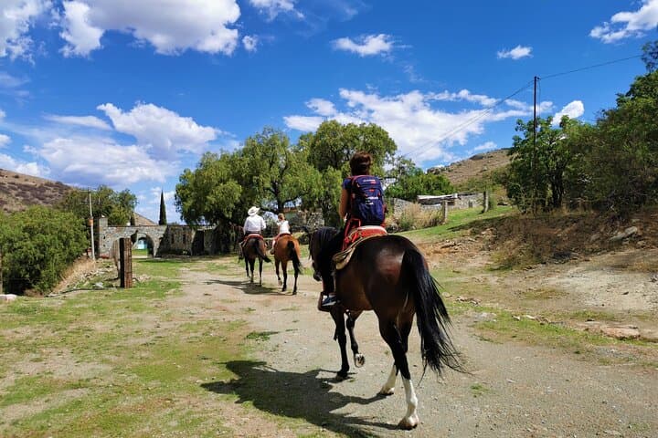 Ride the Mining Trails of Guanajuato: Mexican Equestrian Experience photo 4