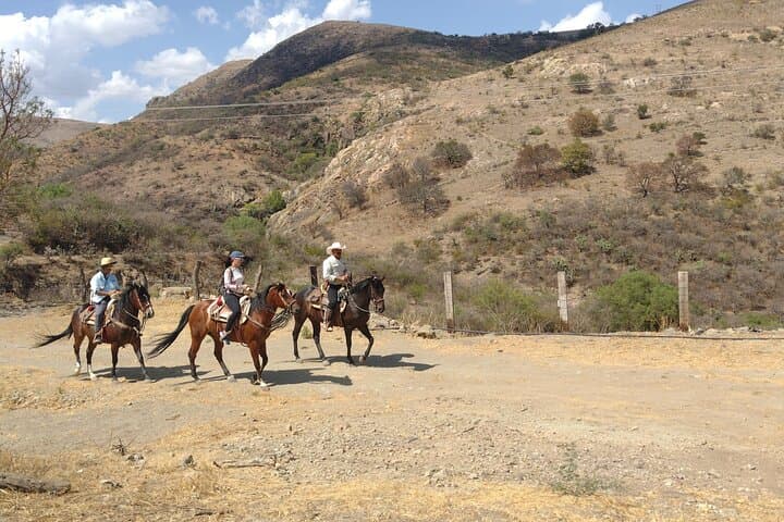 Ride the Mining Trails of Guanajuato: Mexican Equestrian Experience photo 5