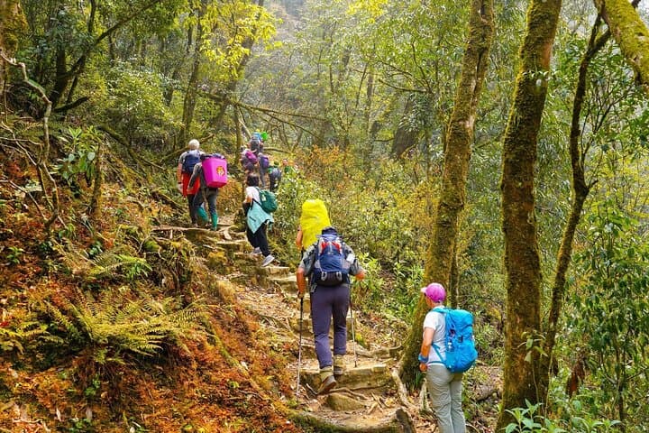 Fansipan Summit Trek: 2-Day Push to the Roof of Indochina photo 5