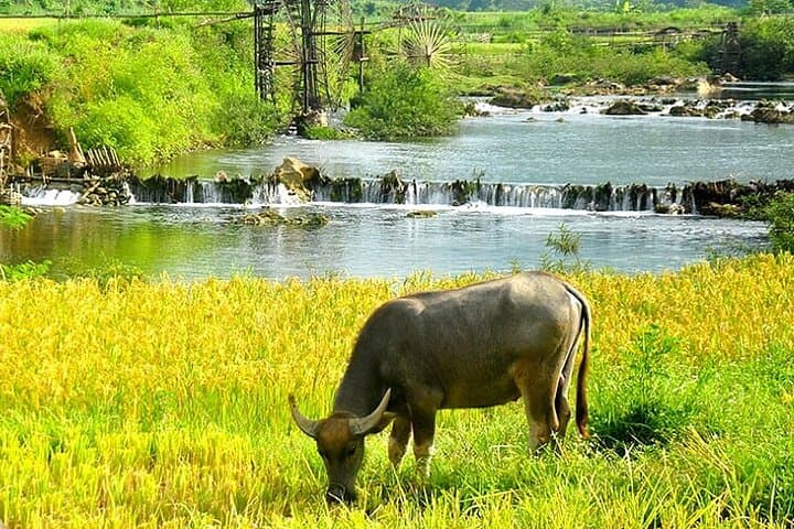 Northern Vietnam 5–7 Day Itinerary: Hanoi, Ha Long Bay, Ninh Binh, Pu Luong & Mai Chau photo 3