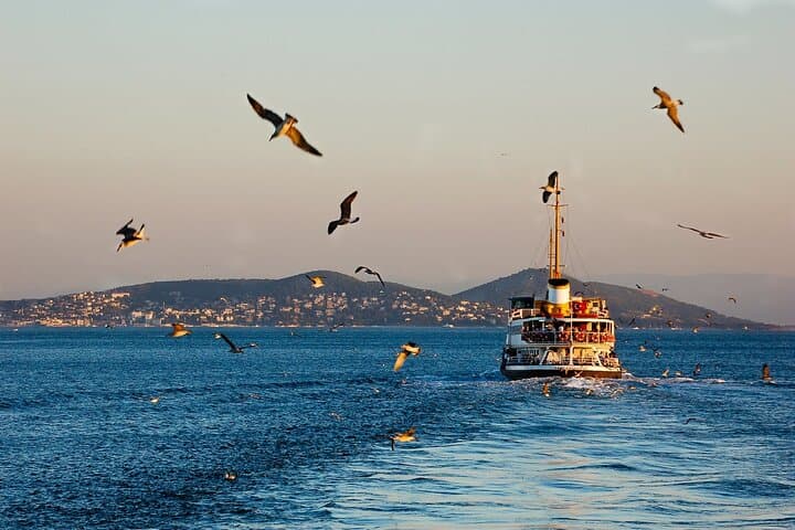 Full-Day Princes' Islands Tour from Istanbul: Ferry, Forests & Ottoman Mansions photo 6