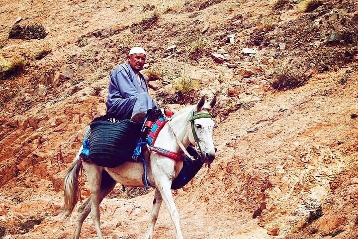 Imlil Day Trip: High Atlas Villages, Waterfall Walk & Oukaimden Views photo 4