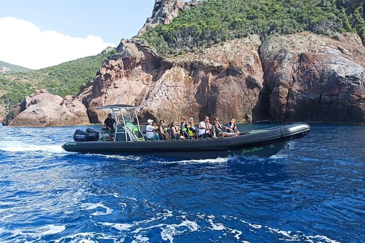 Scandola Reserve Small-Group Boat Tour: Coves, Caves & Snorkeling