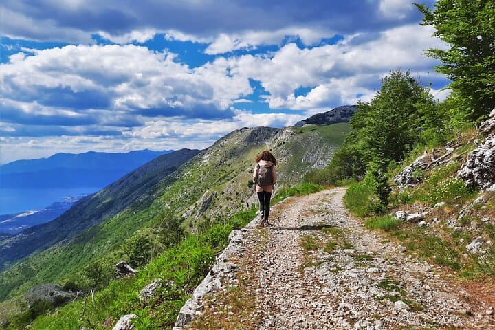 Lovćen Mountain Circle Panoramic Hike: Beech Forests to Dolovi Village photo 2