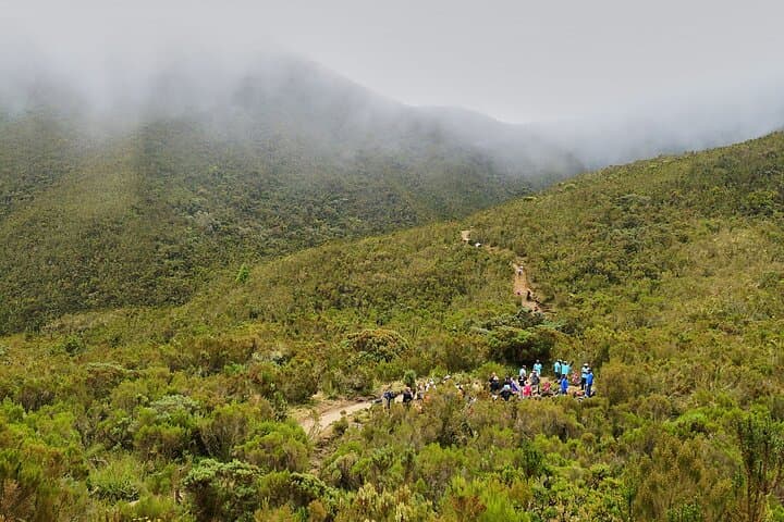 8-Day Lemosho Route Kilimanjaro Climb: Private Guided Summit on Uhuru Peak