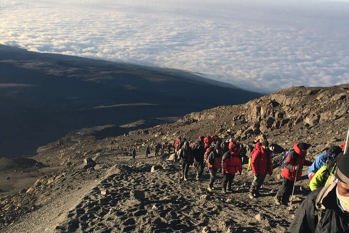 8-Day Lemosho Route Kilimanjaro Climb: Private Guided Summit on Uhuru Peak photo 2