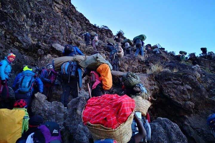 8-Day Lemosho Route Kilimanjaro Climb: Private Guided Summit on Uhuru Peak photo 3