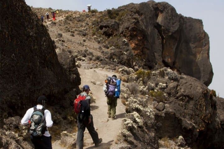 8-Day Lemosho Route Kilimanjaro Climb: Private Guided Summit on Uhuru Peak photo 4