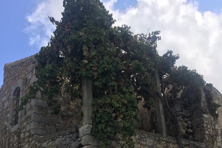 Lasithi Plateau Olive Oil & Windmills Day Tour from Elounda photo 3