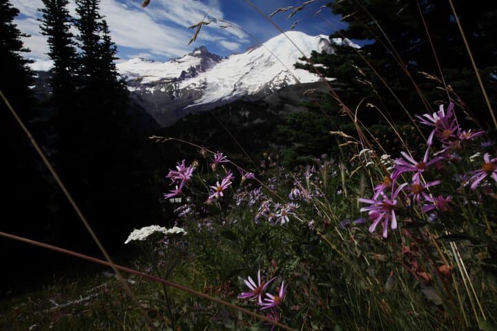 Private Mt. Rainier Day Trip from Seattle — Custom Guided Hike & Photo Stops photo 2