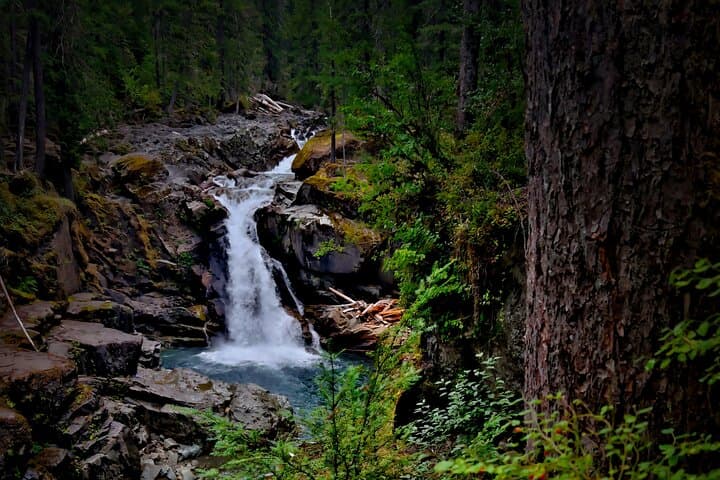 Private Mt. Rainier Day Trip from Seattle — Custom Guided Hike & Photo Stops photo 3