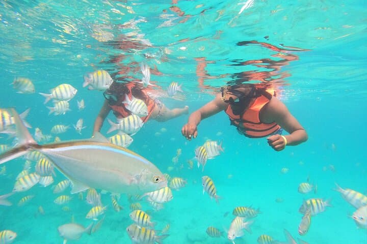 Drive a Speedboat to Snorkel and Swim in Punta Cana's Natural Pool photo 2