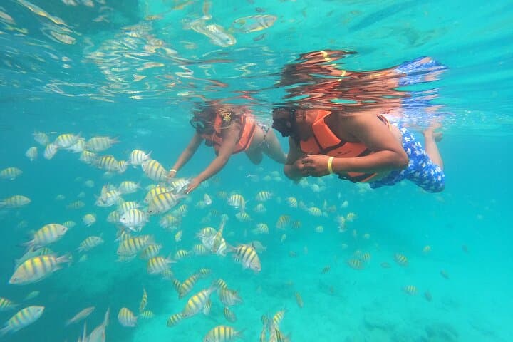 Punta Cana Full-Day Buggy Adventure and Snorkeling Party with Open Bar photo 3